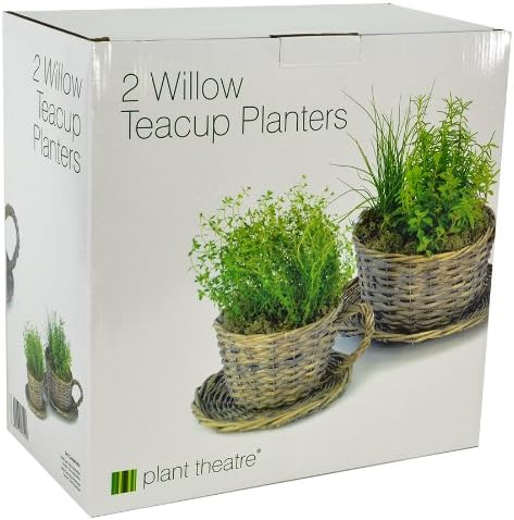 2 Willow Teacup Planters