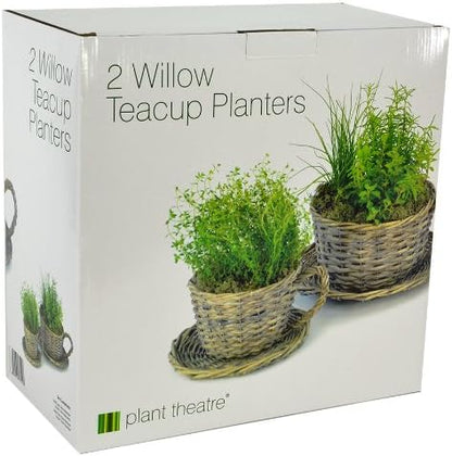 2 Willow Teacup Planters