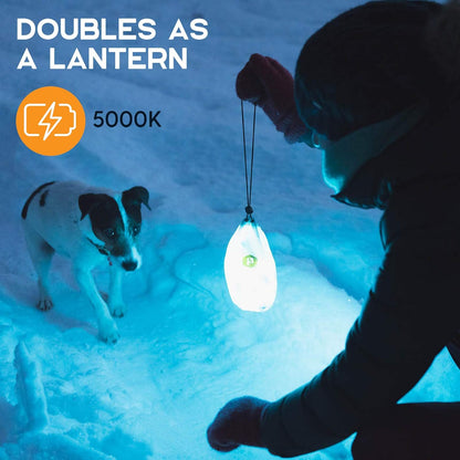 Power Practical Luminoodle mit Batterie, 5 Fuß 