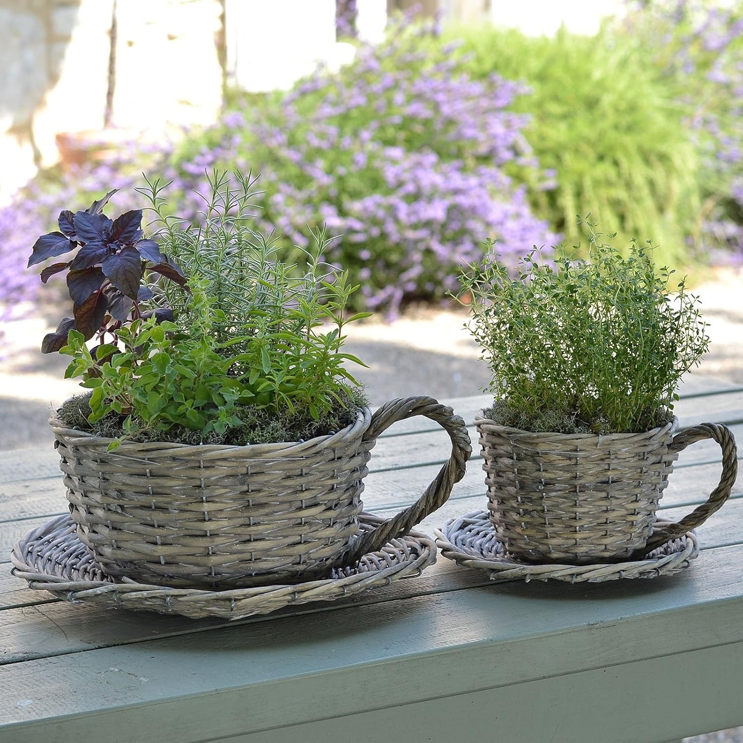 2 Willow Teacup Planters